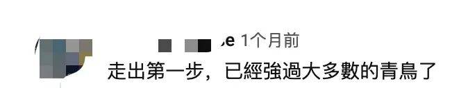 曾经黑大陆的台湾网红，为何纷纷“转向”？