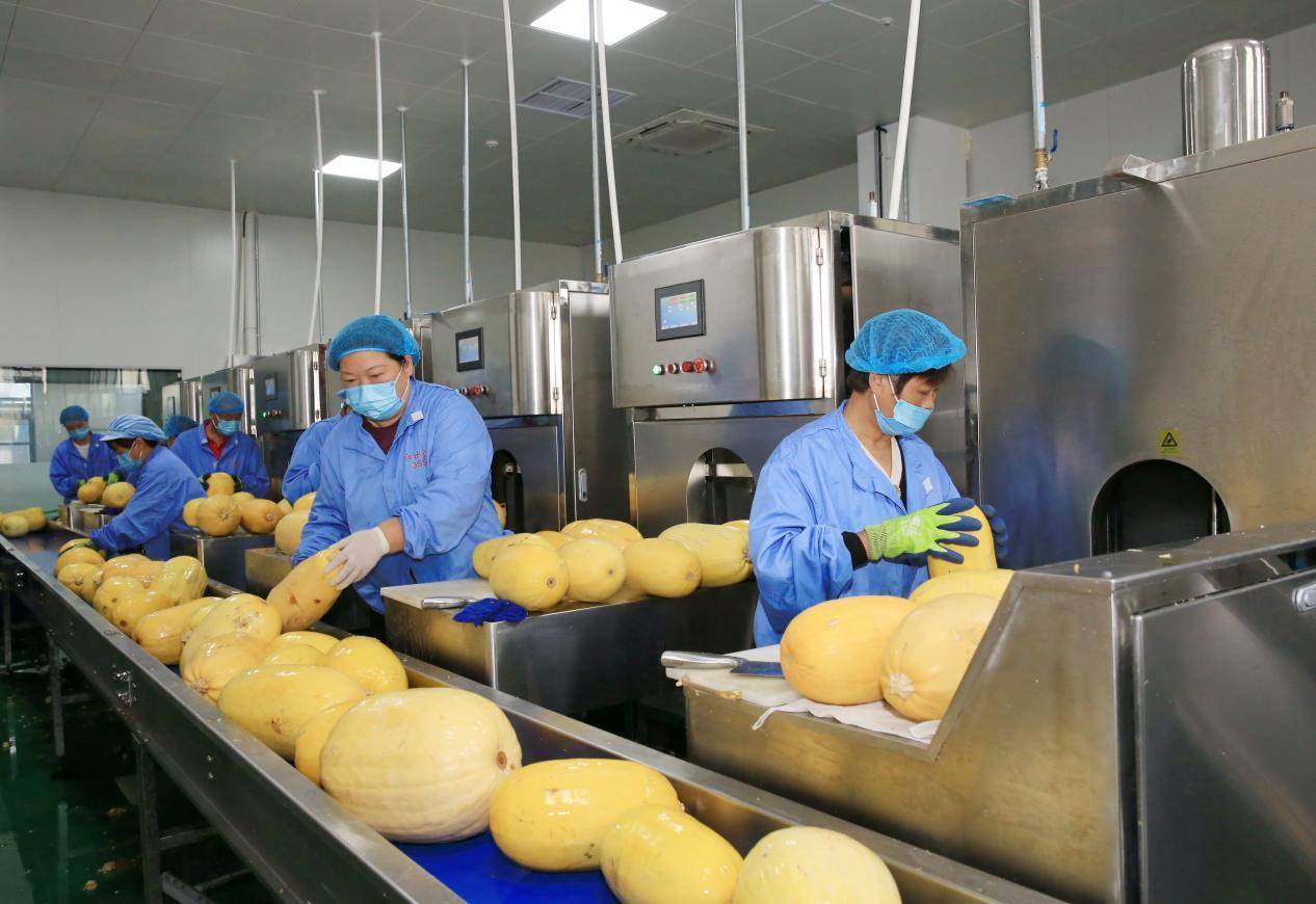 宿州泗县这个“瓜”，两次“吃”上央视